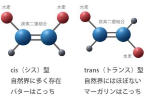 脂肪酸　分子構造　ハウス食品