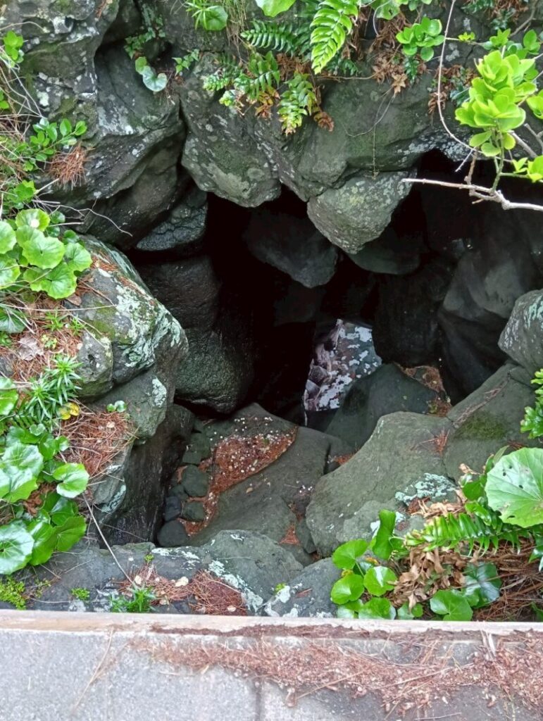 城ケ崎海岸　穴口