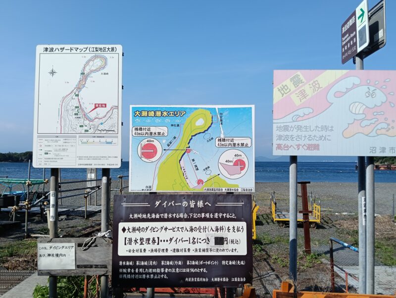 大瀬崎　神池